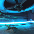 The Benefits of Installing a UV Light System in Coral Springs, Florida